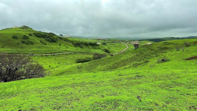 ولاية صلالة